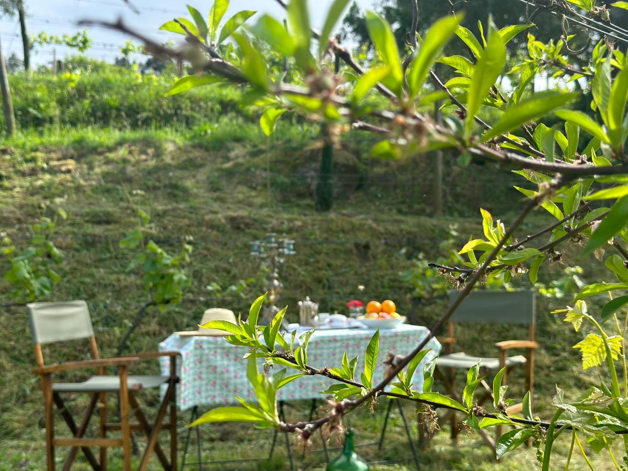 Carmo'S Boutique Hotel - Small Luxury Hotels Of The World Ponte de Lima Zewnętrze zdjęcie